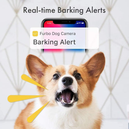 360° Cat Camera: See Your Cat from Anywhere | Rotating 360° Cat Tracking, Treat Toss, Color HD Night Vision, 2-Way Audio, Real-Time Notifications, Designed for Cats | Pet Camera w/Phone App